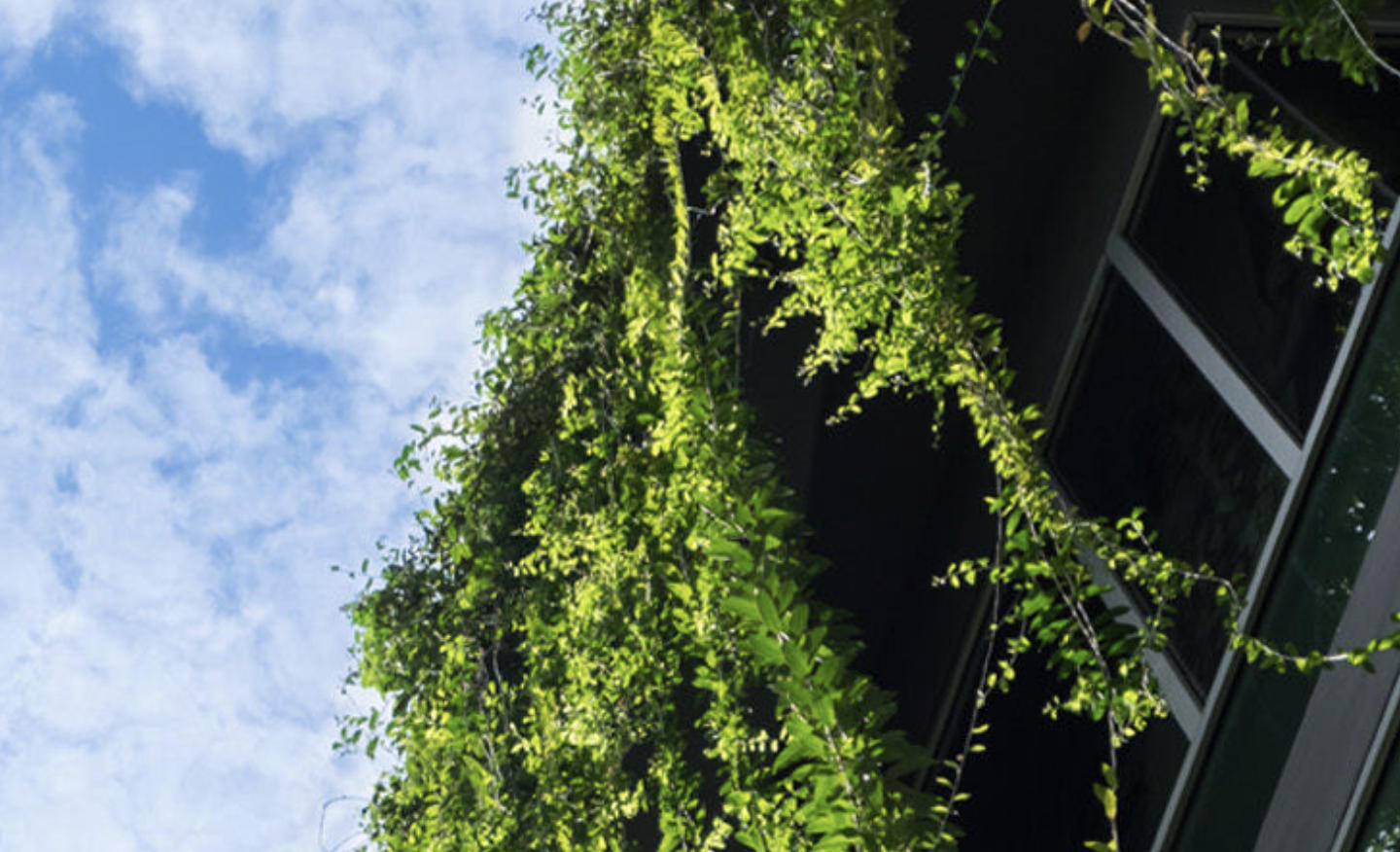 Environment Protection and Biodiversity Conservation Act reforms: key changes and implications