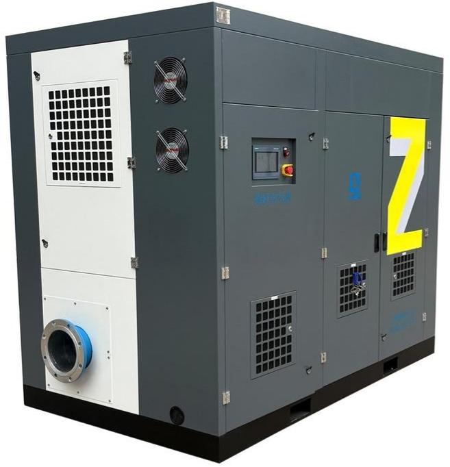 Silent oil-free screw blower