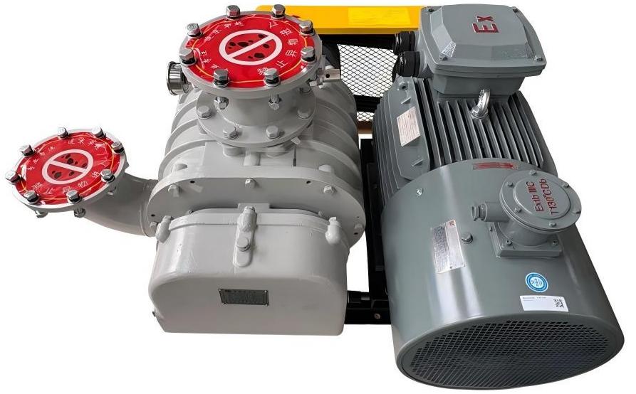 Roots blower for vacuum use